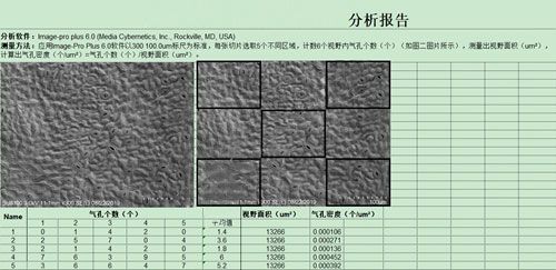 电镜统计分析