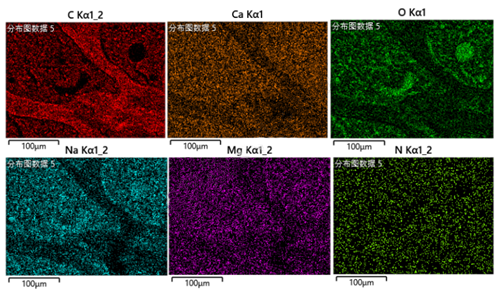 干燥样本SEM能谱面扫描